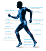 Obrazek Focus Shockwave – Terapia falą uderzeniową